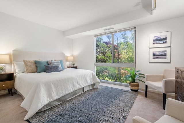1010 Memorial Dr Unit 3F, Cambridge, MA 02138 - bedroom featuring carpet and baseboards