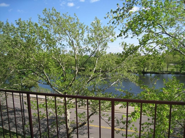 1010 Memorial Dr Unit 3F, Cambridge, MA 02138 - water view