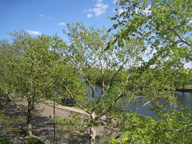 1010 Memorial Dr Unit 3F, Cambridge, MA 02138 - water view