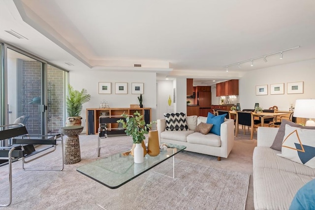 1010 Memorial Dr Unit 3F, Cambridge, MA 02138 - living area with light carpet and track lighting