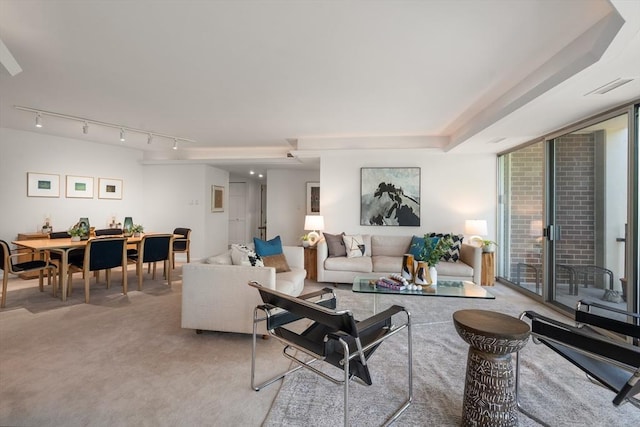 1010 Memorial Dr Unit 3F, Cambridge, MA 02138 - living room featuring rail lighting and light colored carpet