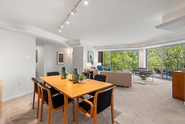 1010 Memorial Dr Unit 3F, Cambridge, MA 02138 - dining area with light colored carpet and rail lighting
