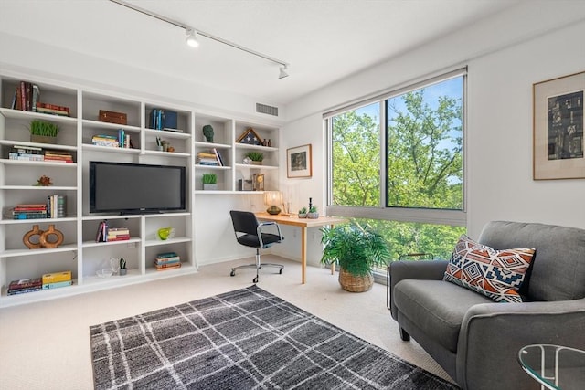 1010 Memorial Dr Unit 3F, Cambridge, MA 02138 - office area with carpet and track lighting