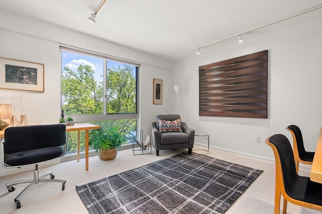 1010 Memorial Dr Unit 3F, Cambridge, MA 02138 - carpeted home office featuring track lighting