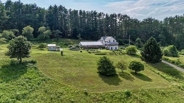 bird's eye view