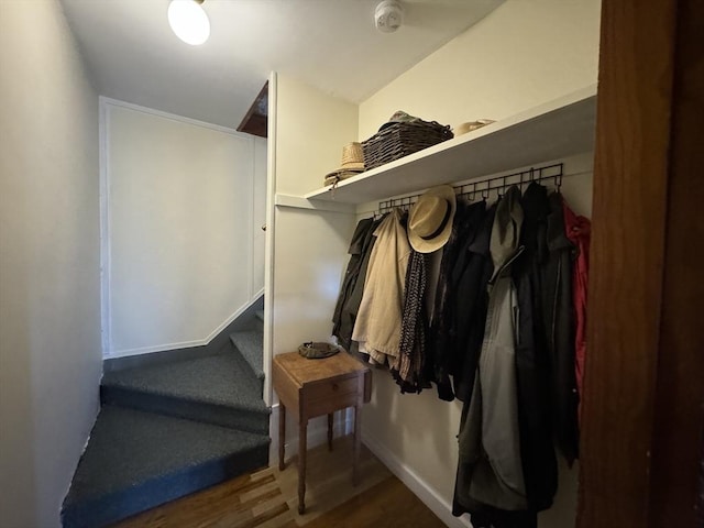 walk in closet featuring dark hardwood / wood-style floors