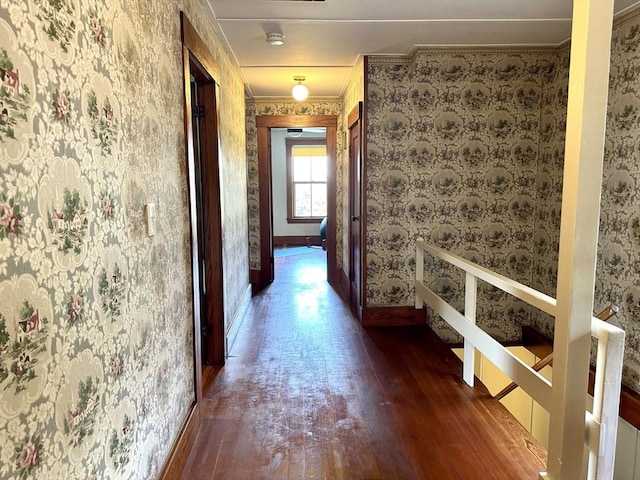 hall with crown molding and dark wood-type flooring