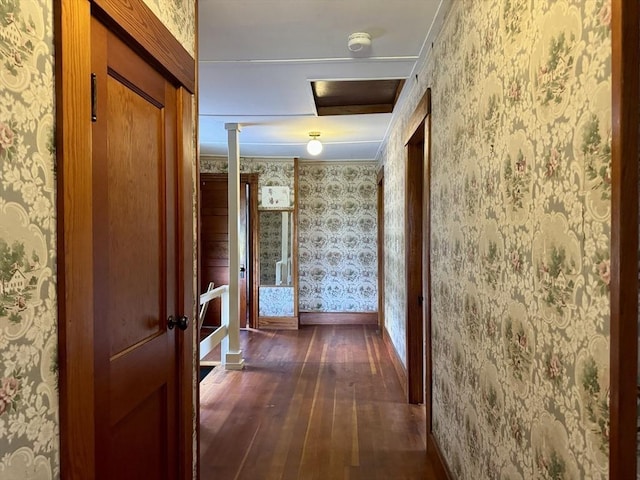 hallway featuring crown molding and dark wood-type flooring