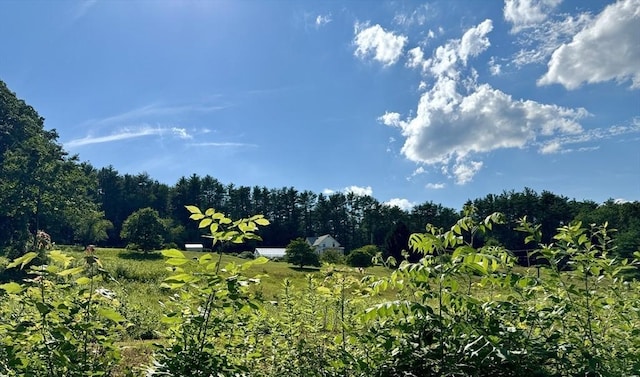 view of landscape