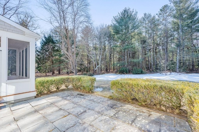 view of yard featuring a patio