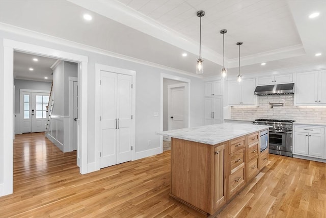 10 Whittier Rd, Natick, MA 01760 - kitchen featuring high end stainless steel range, under cabinet range hood, light wood-style floors, tasteful backsplash, and white cabinets