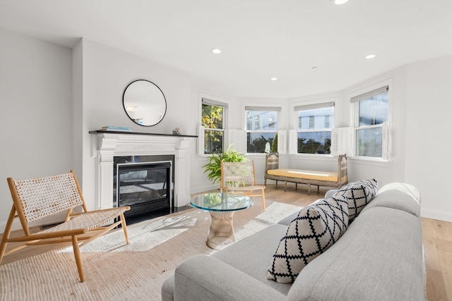 living room featuring light hardwood / wood-style floors