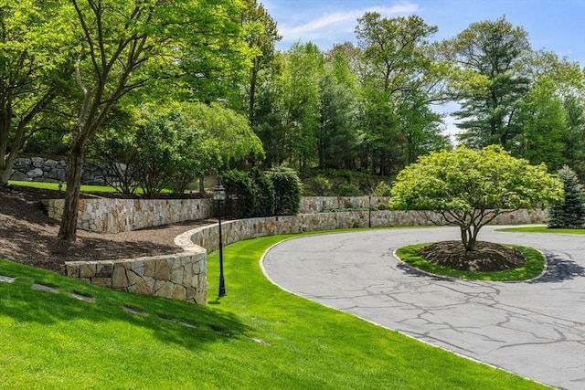 6 Wayside Cir, Framingham, MA 01701 - view of community with a lawn and curved driveway