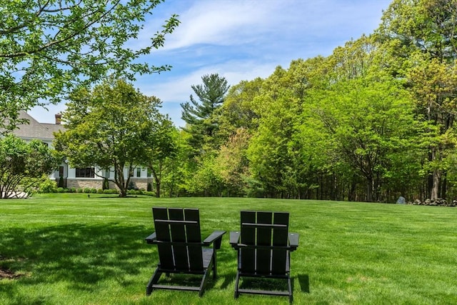 6 Wayside Cir, Framingham, MA 01701 - view of green lawn
