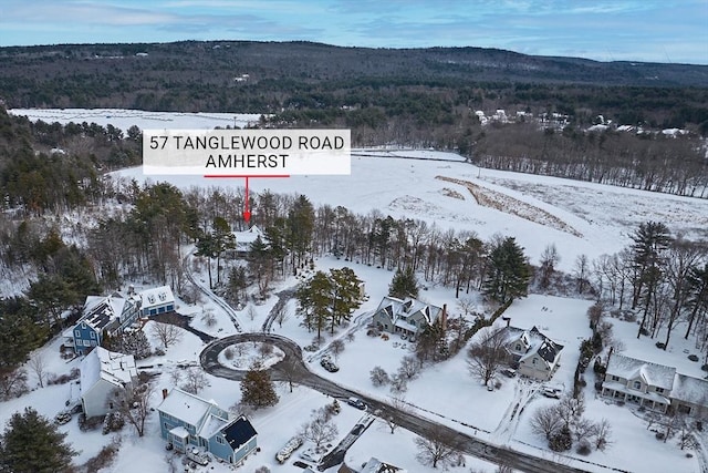 snowy aerial view with a mountain view