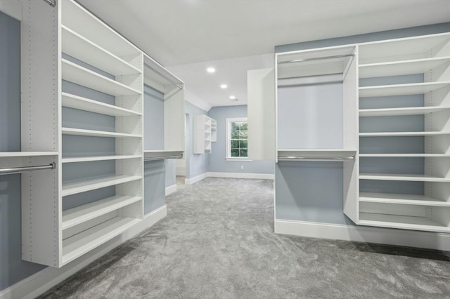 walk in closet with carpet flooring