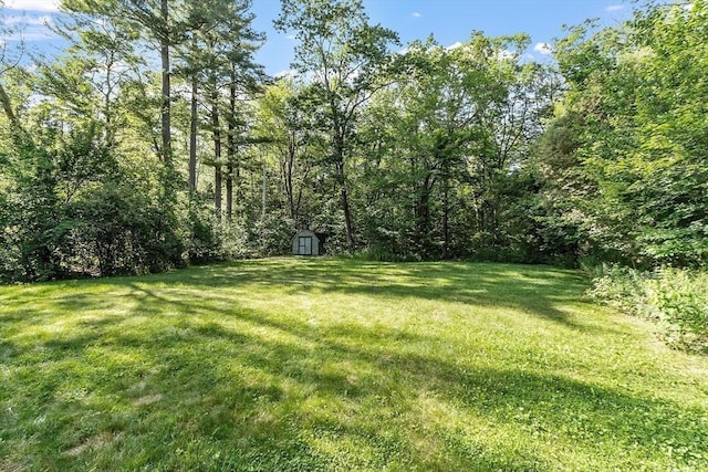1 Sheffield Cir, Andover, MA 01810 - view of grassy yard featuring a storage unit and a forest view