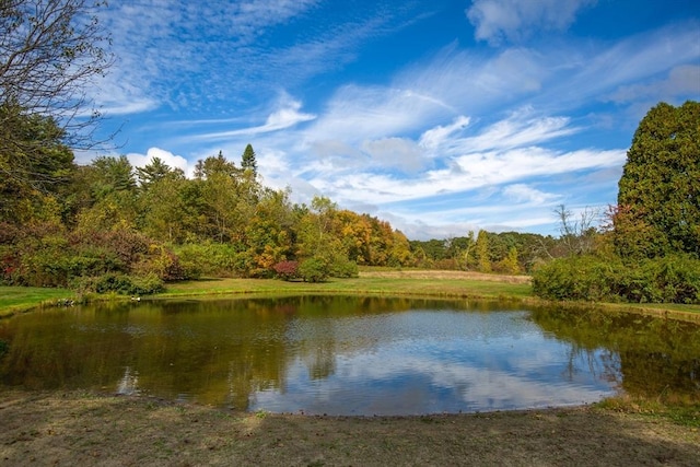 property view of water featuring a view of trees