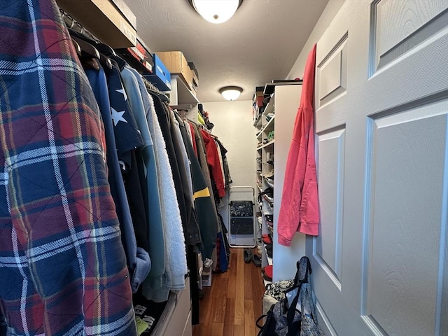 spacious closet featuring wood-type flooring