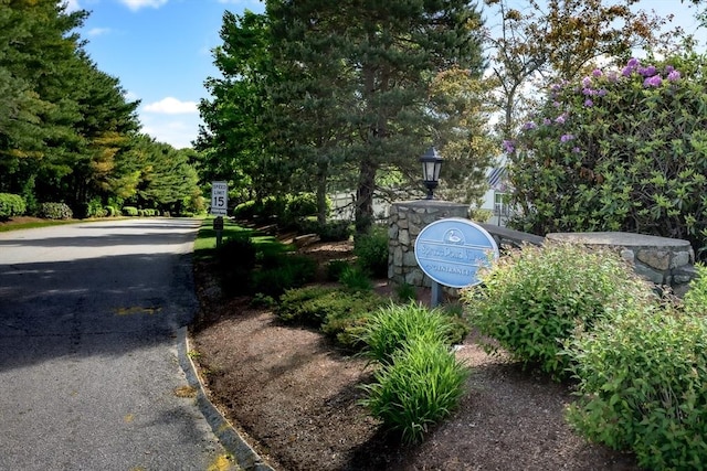 19 Spruce Pond Rd Unit 19, Franklin, MA 02038 - view of street