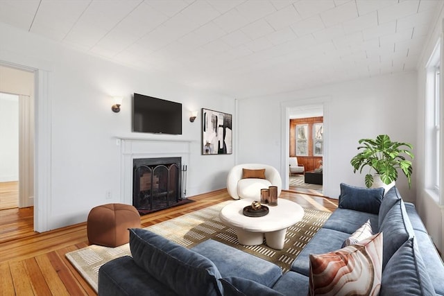 living room featuring light hardwood / wood-style flooring