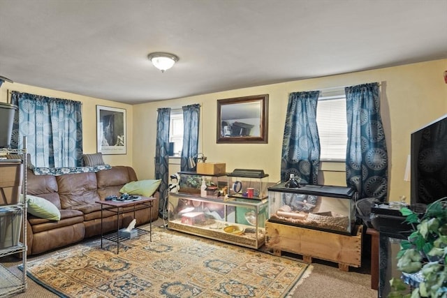 living room with carpet and plenty of natural light