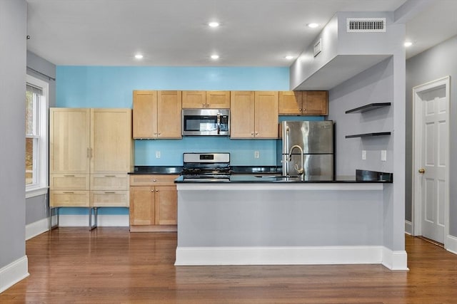 kitchen featuring dark hardwood / wood-style flooring, sink, light brown cabinets, and appliances with stainless steel finishes