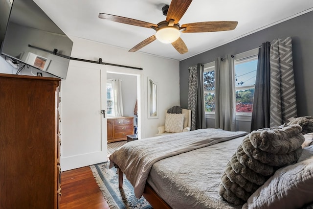 bedroom with ceiling fan, dark hardwood / wood-style floors, multiple windows, and a barn door