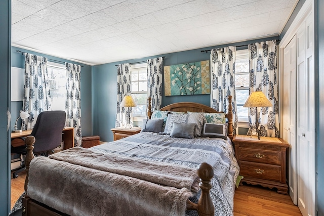 bedroom featuring wood-type flooring and a closet