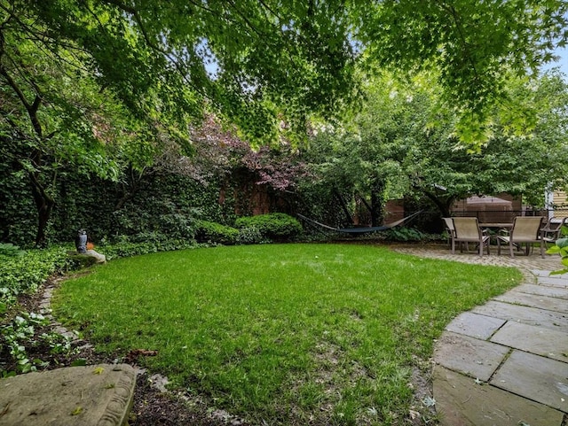 4 Greenough Ave, Boston, MA 02130 - view of green lawn with a patio area