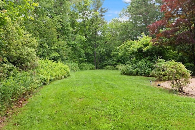 41B Washington St, Boxford, MA 01921 - view of green lawn featuring a forest view