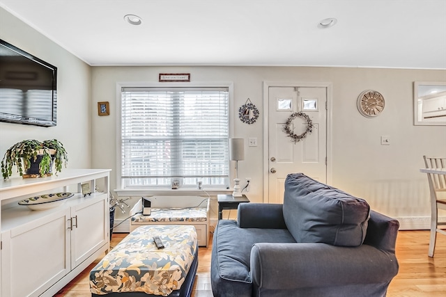 living room featuring light wood-type flooring