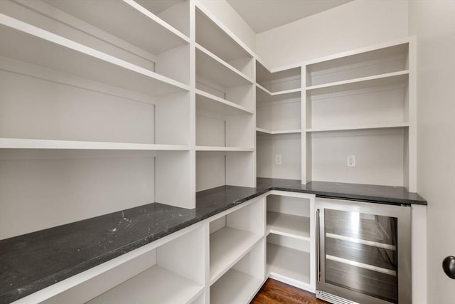 pantry with beverage cooler