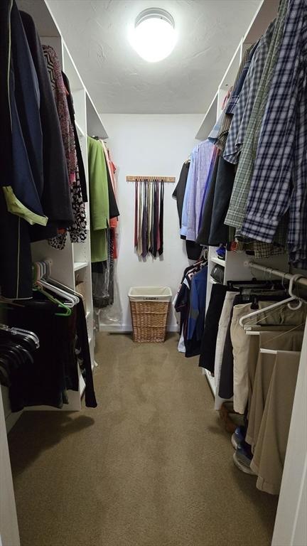 spacious closet with carpet floors