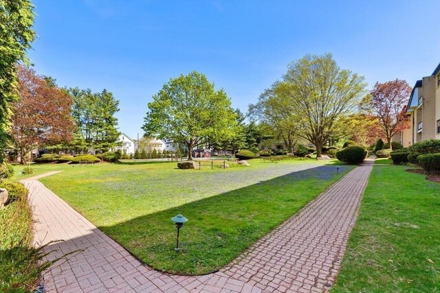 view of home's community with a lawn