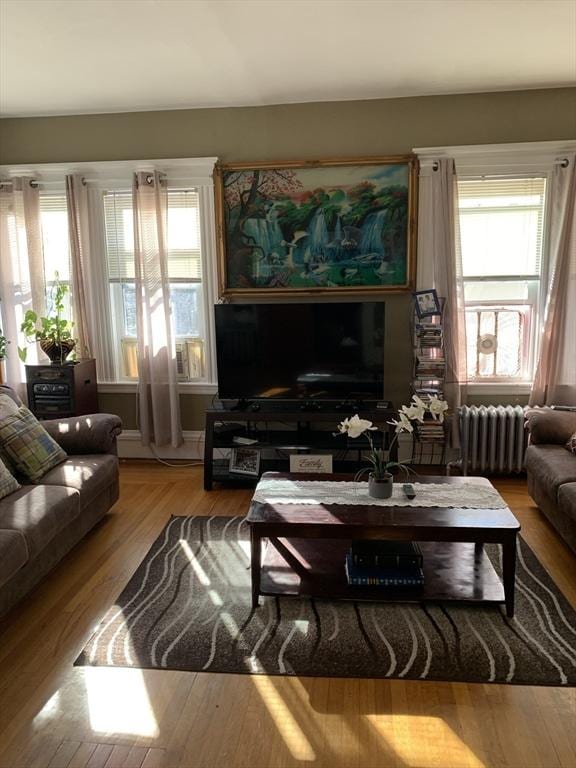 living area featuring radiator and wood finished floors