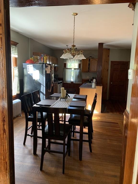 dining room featuring radiator heating unit and wood finished floors