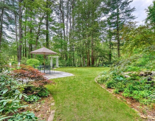 15 Blackburnian Rd, Lincoln, MA 01773 - view of green lawn featuring a patio area