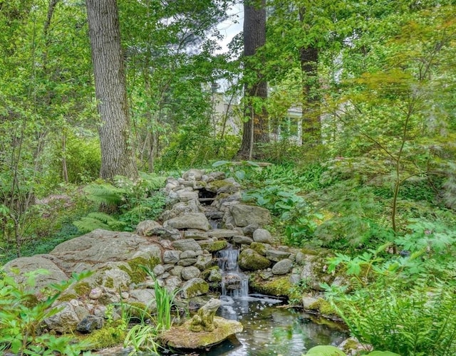 15 Blackburnian Rd, Lincoln, MA 01773 - view of woods