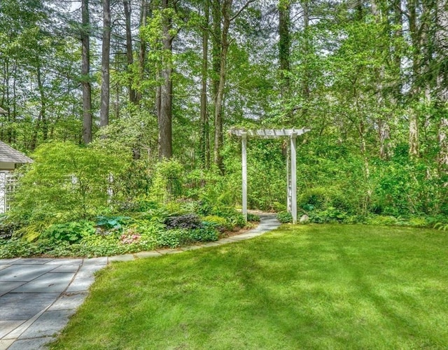 15 Blackburnian Rd, Lincoln, MA 01773 - view of grassy yard featuring a wooded view