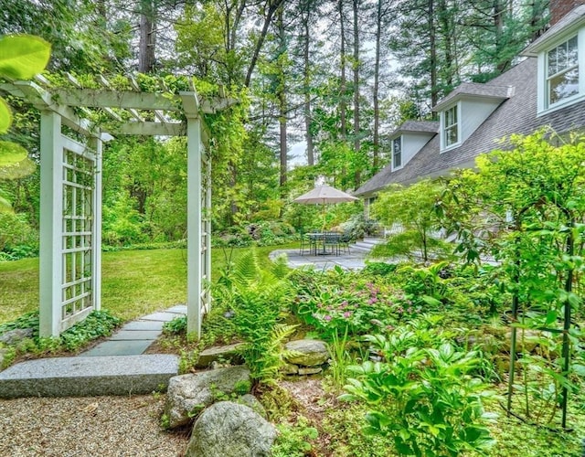 15 Blackburnian Rd, Lincoln, MA 01773 - view of grassy yard with a pergola and a patio