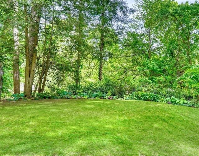 15 Blackburnian Rd, Lincoln, MA 01773 - view of green lawn