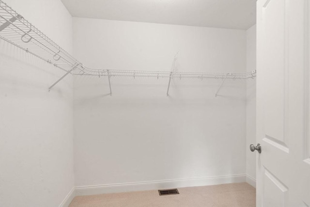 32 Old Framingham Rd Unit 20, Sudbury, MA 01776 - walk in closet with carpet flooring