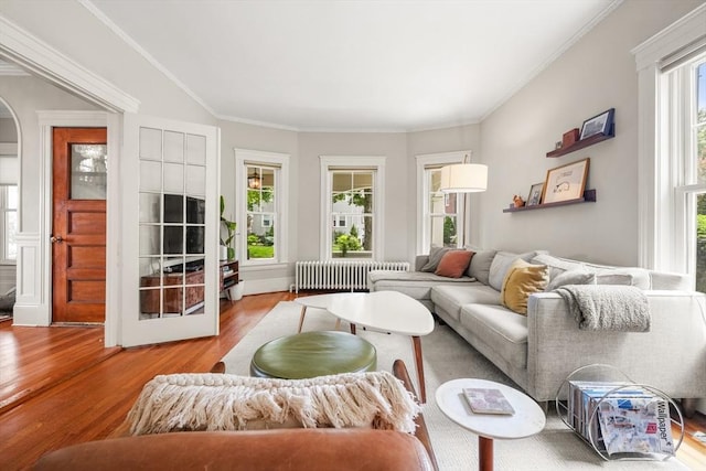 97 Manet Rd, Newton, MA 02467 - living room with radiator, wood finished floors, arched walkways, and ornamental molding