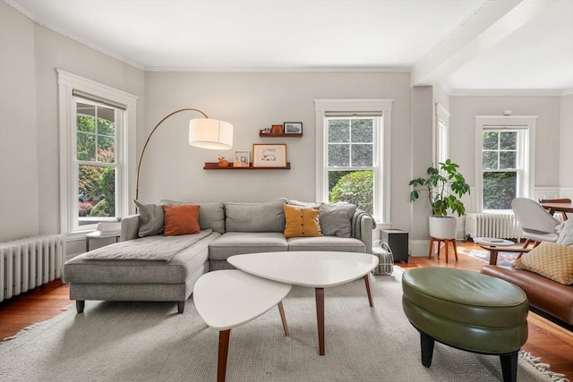97 Manet Rd, Newton, MA 02467 - living room featuring radiator, plenty of natural light, and ornamental molding