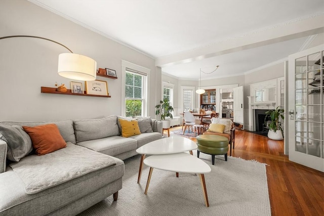 97 Manet Rd, Newton, MA 02467 - living room with wood finished floors and crown molding