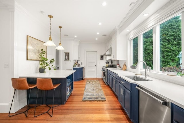 97 Manet Rd, Newton, MA 02467 - kitchen featuring blue cabinets, stainless steel appliances, a sink, crown molding, and white cabinets