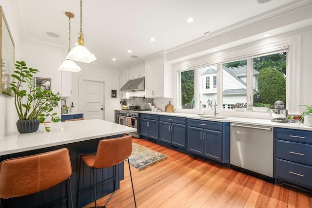 97 Manet Rd, Newton, MA 02467 - kitchen featuring appliances with stainless steel finishes, blue cabinetry, under cabinet range hood, ornamental molding, and a sink