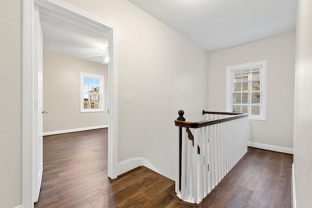 hallway featuring dark hardwood / wood-style floors