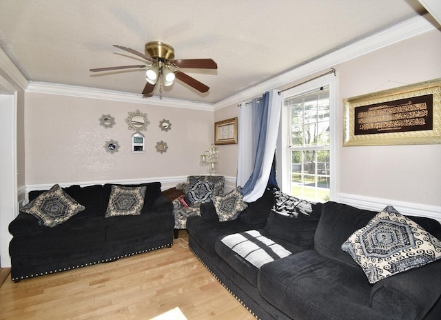 living area featuring ceiling fan, light wood finished floors, and ornamental molding